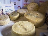 Formaggio-Padernello